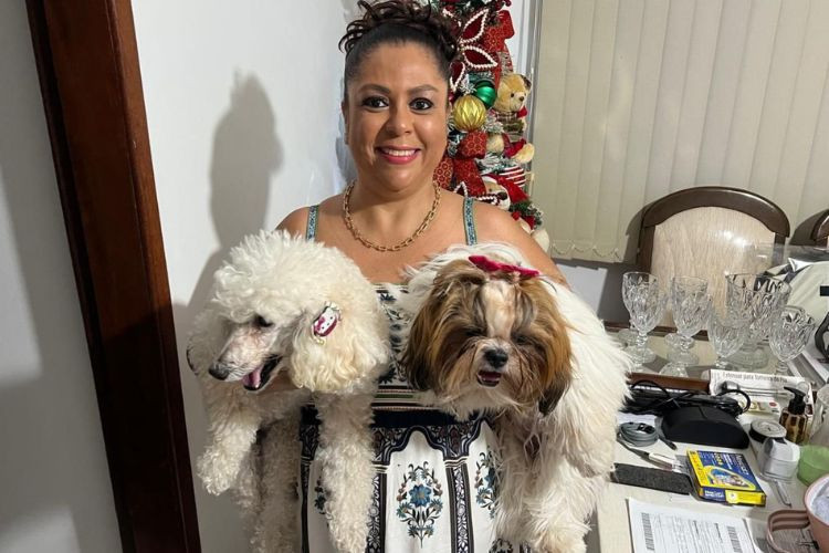 Você sabe o que fazer com seu pet antes de viajar?