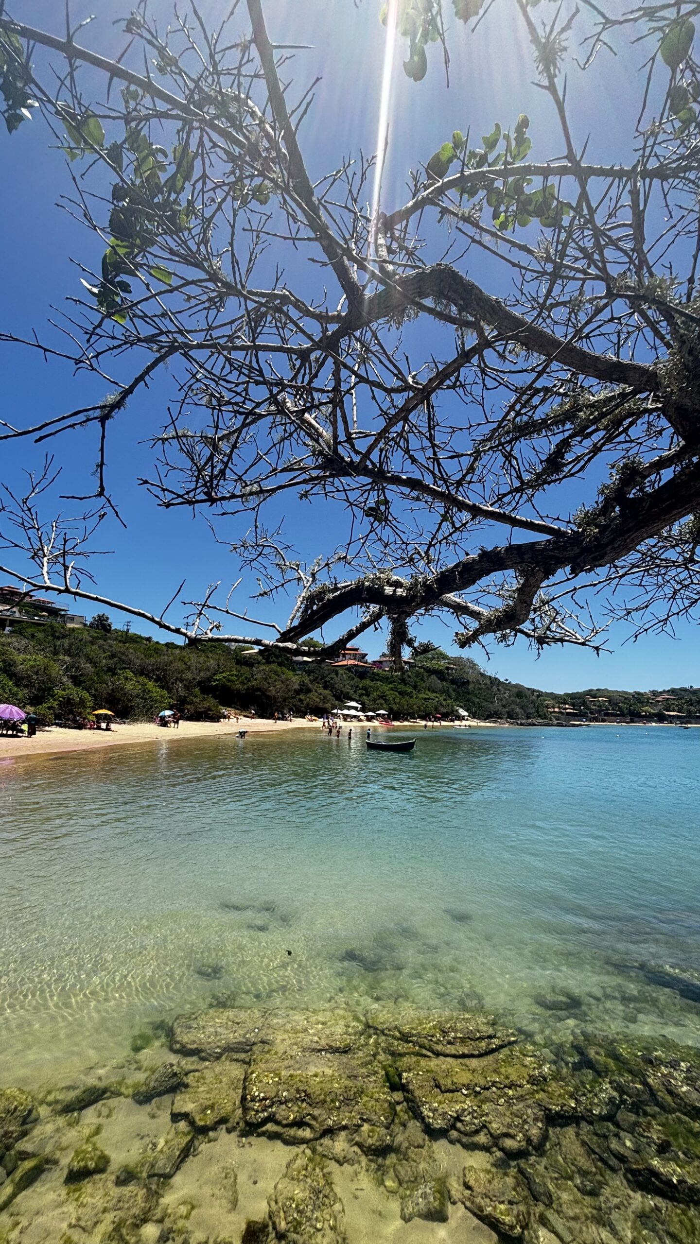 Vai viajar? Saiba quais são os seus direitos