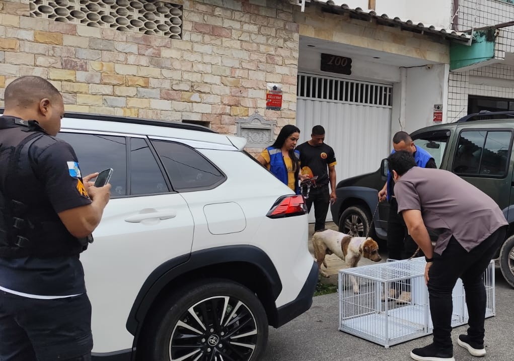 Cães resgatados durante ação da Operação Patas Seguras em Macaé